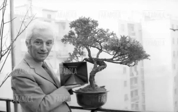 Bruno Munari, Milano, 1971 - Farabola Immagine digitale