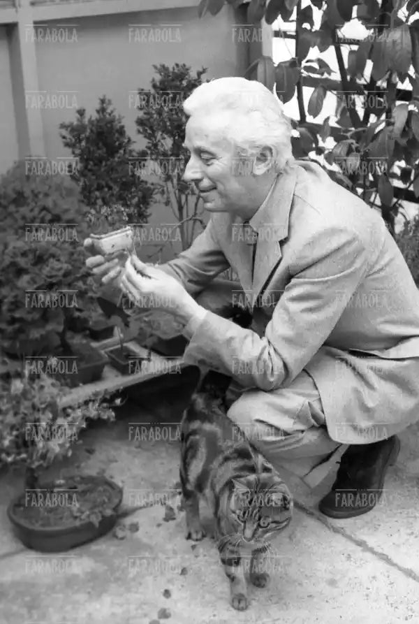 Bruno Munari, Milano, 1971 - Farabola Immagine digitale