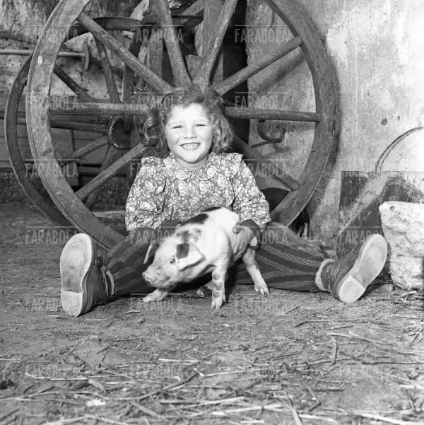Campagna a Rozzano, 1953 - Farabola Immagine digitale