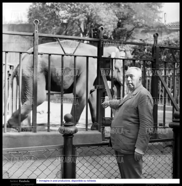Carlo Emilio Gadda allo zoo, Roma, 1960 - Farabola Immagine digitale