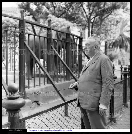 Carlo Emilio Gadda allo zoo, Roma, 1960 - Farabola Immagine digitale