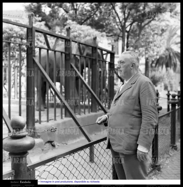 Carlo Emilio Gadda allo zoo, Roma, 1960 - Farabola Immagine digitale