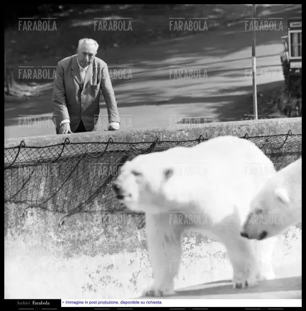 Carlo Emilio Gadda allo zoo, Roma, 1960 - Farabola Immagine digitale