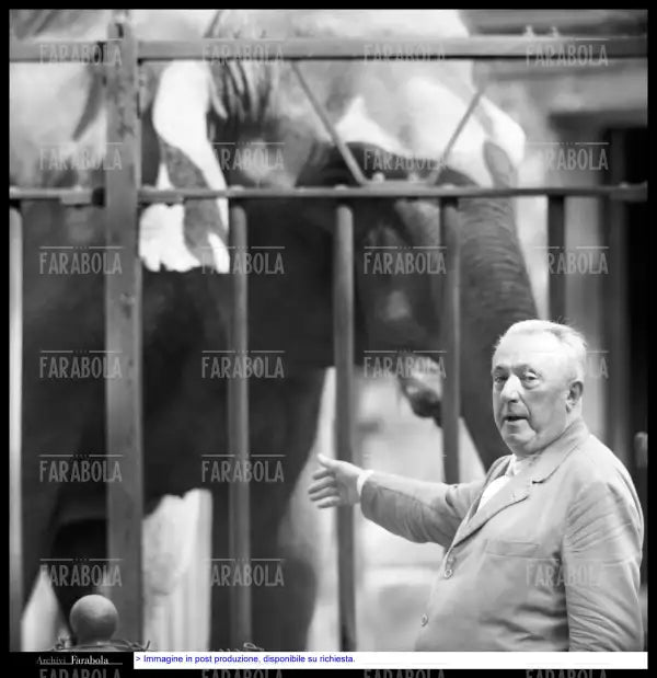 Carlo Emilio Gadda allo zoo, Roma, 1960 - Farabola Immagine digitale