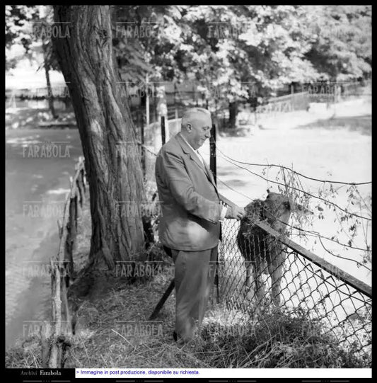 Carlo Emilio Gadda allo zoo, Roma, 1960 - Farabola Immagine digitale