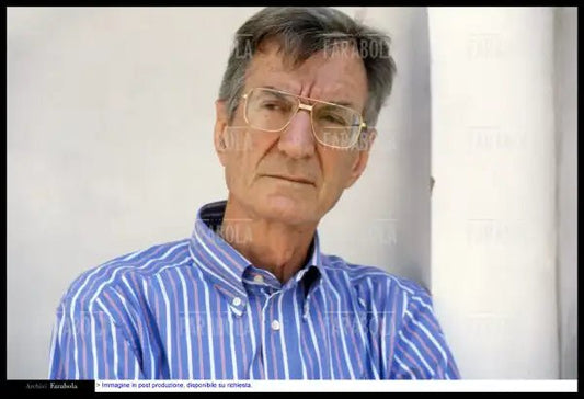 Carlo Lizzani, Giffoni Film Festival, 1996 - Farabola Immagine digitale