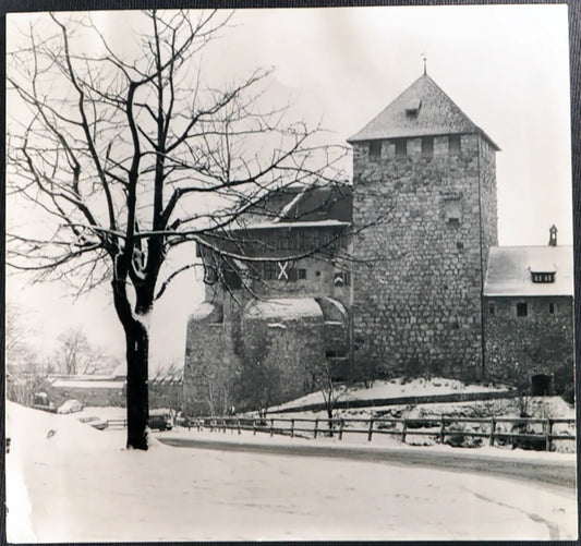Castello Reale Leichtenstein anni 60 Ft 3088 - Stampa 20x20 cm - Farabola Stampa ai sali d'argento