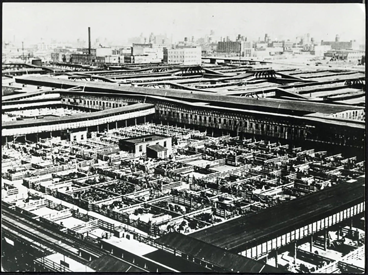 Chicago Stands dei grandi mattatoi anni 50 Ft 38015 - Stampa 24x18 cm - Farabola Stampa ai sali d'argento