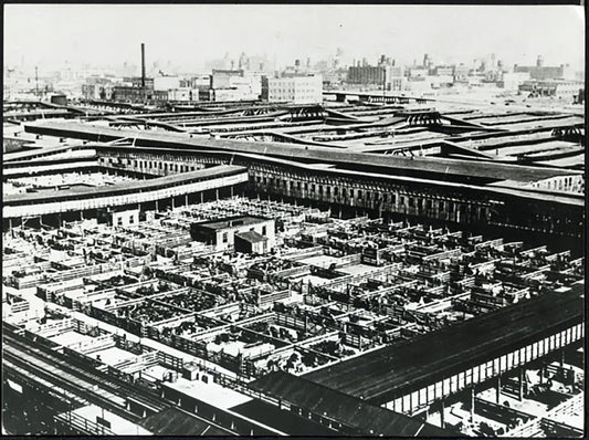 Chicago Stands dei grandi mattatoi anni 50 Ft 38015 - Stampa 24x18 cm - Farabola Stampa ai sali d'argento