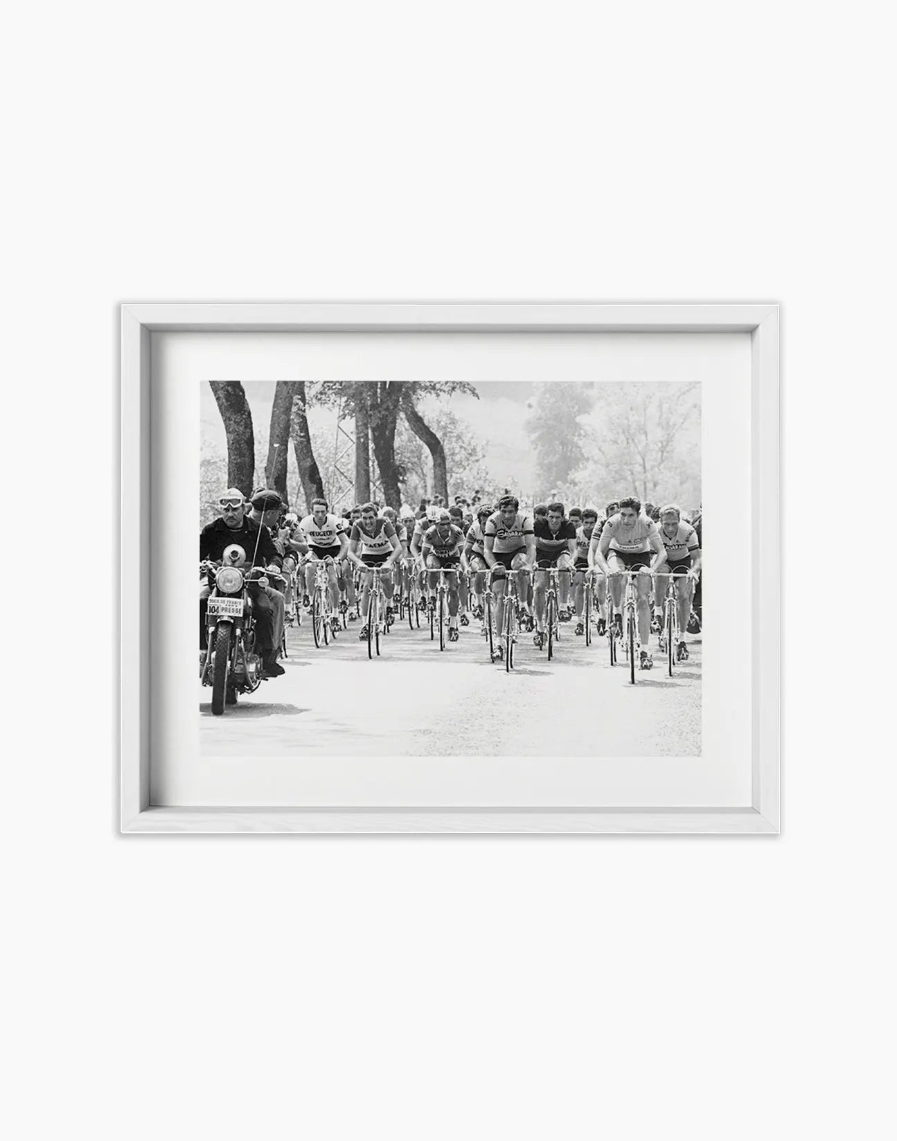 Ciclisti, Tour de France 1969 - Farabola Fotografia