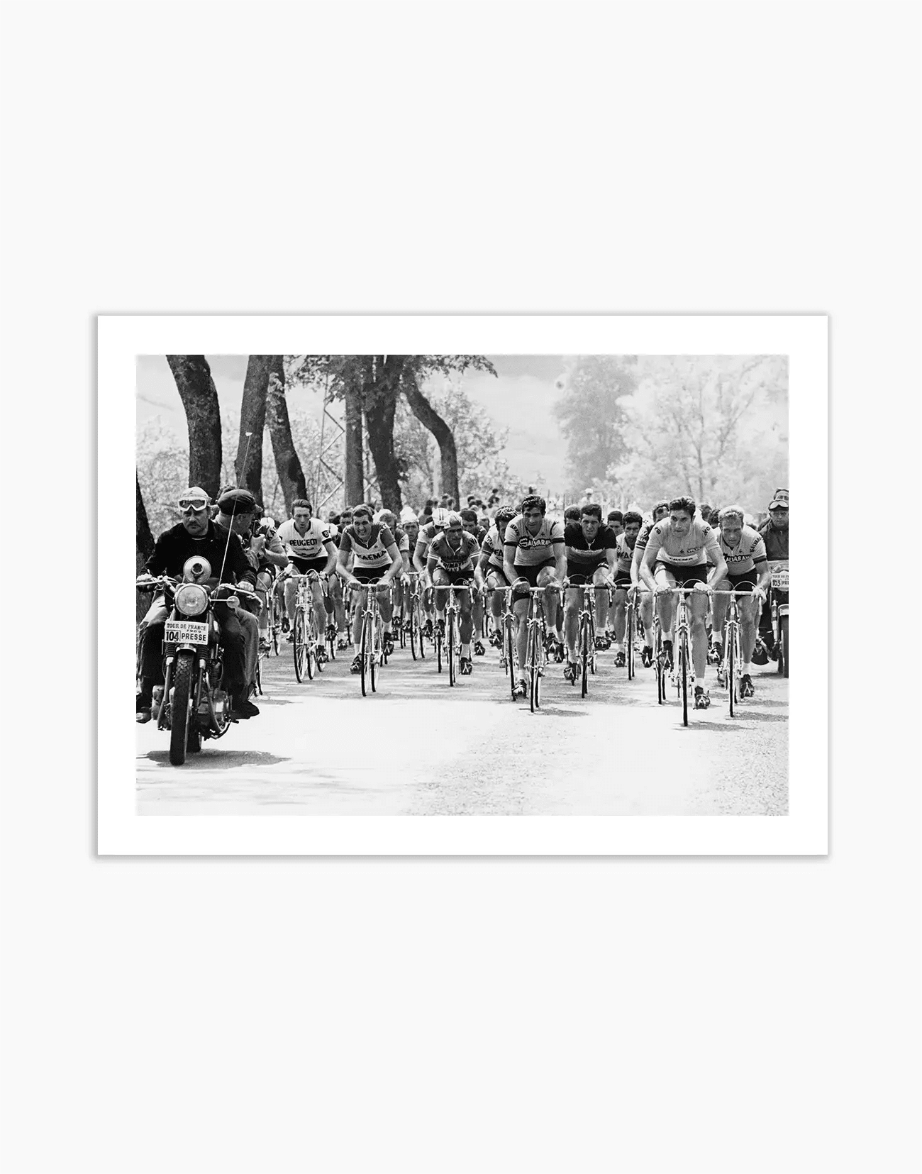 Ciclisti, Tour de France 1969 - Farabola WhiteWall App Product