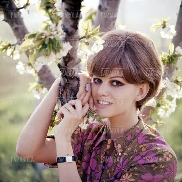 Claudia Cardinale, 1967 - Farabola Immagine digitale