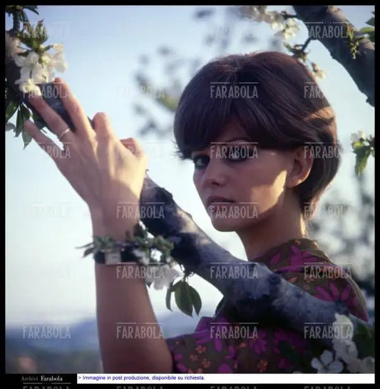 Claudia Cardinale, 1967 - Farabola Immagine digitale