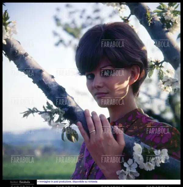 Claudia Cardinale, 1967 - Farabola Immagine digitale