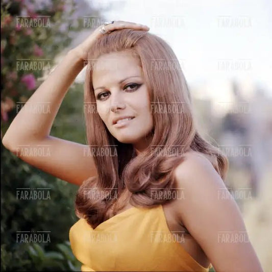Claudia Cardinale, anni 60 - Farabola Immagine digitale