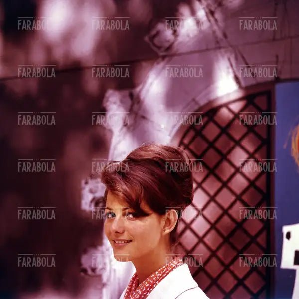 Claudia Cardinale, anni 60 - Farabola Immagine digitale