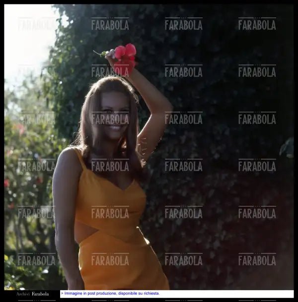 Claudia Cardinale, anni 60 - Farabola Immagine digitale
