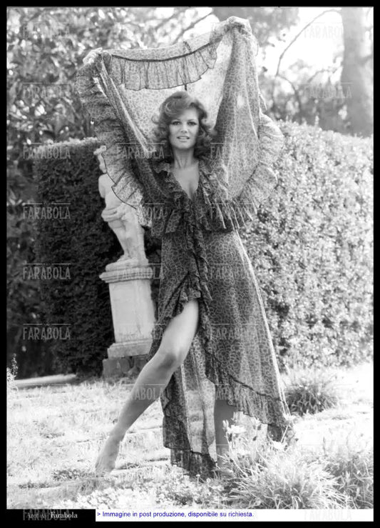 Claudia Cardinale, anni 70 - Farabola Immagine digitale