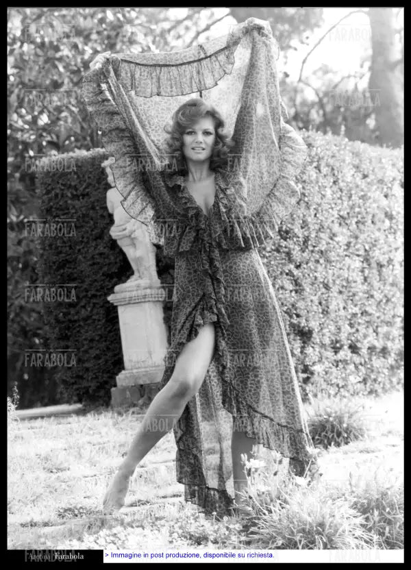 Claudia Cardinale, anni 70 - Farabola Immagine digitale