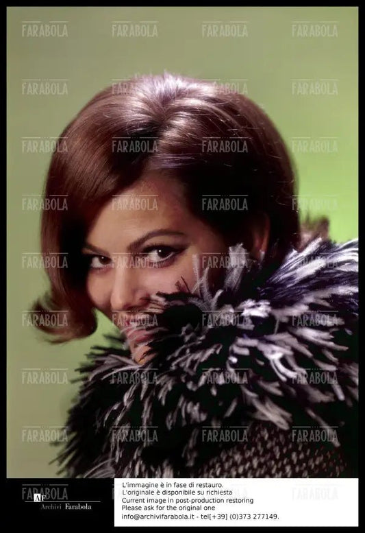Claudia Cardinale, Milano, 1964 - Farabola Immagine digitale