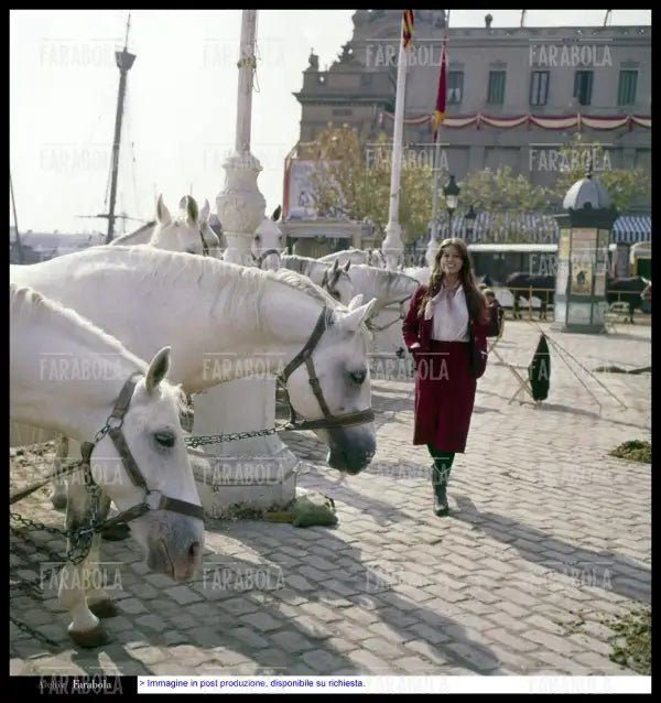 Claudia Cardinale sul set del film Circus World, 1964 - Farabola Immagine digitale
