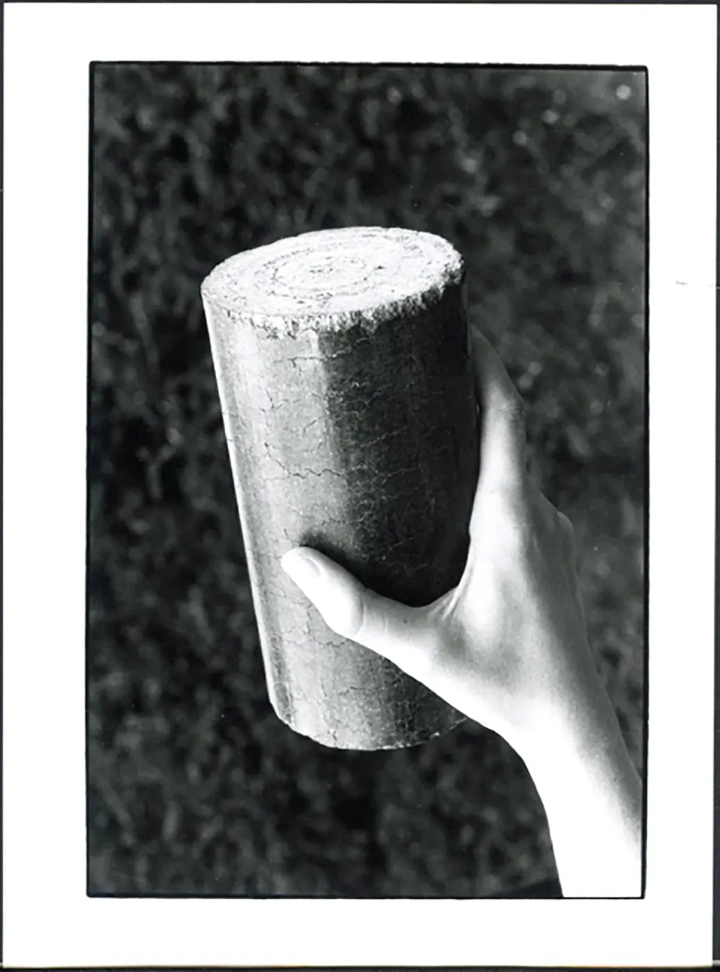 Combustibile a biomasse anni 90 Ft 5655 - Stampa 24x18 cm - Farabola Stampa ai sali d'argento