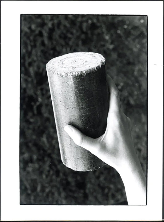 Combustibile a biomasse anni 90 Ft 5655 - Stampa 24x18 cm - Farabola Stampa ai sali d'argento