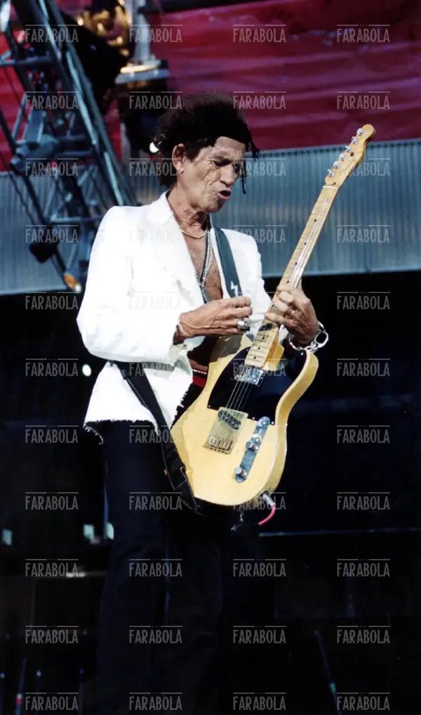Concerto dei Rolling Stones a San Siro, Milano, 2003 - Farabola Immagine digitale