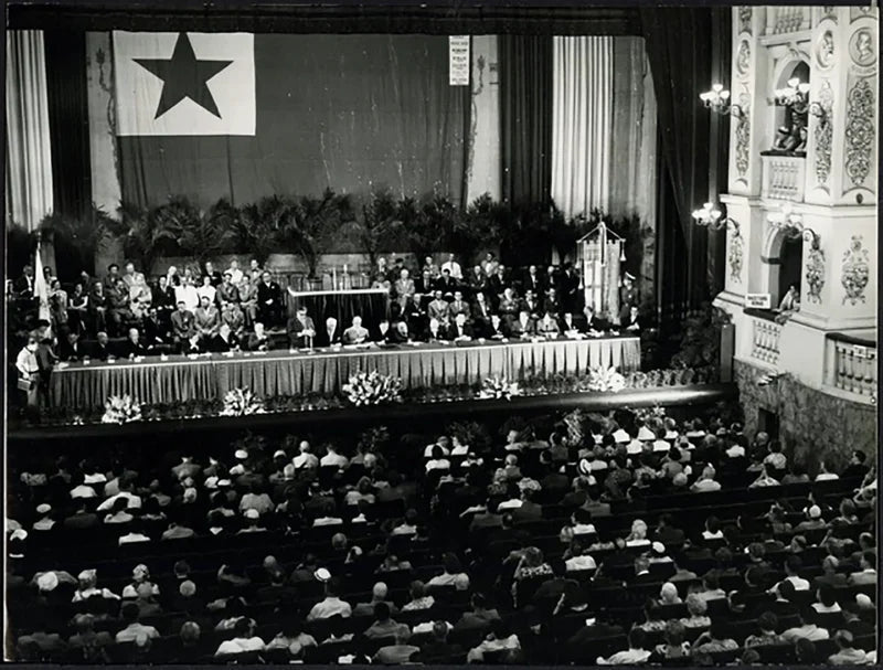 Congresso Mondiale di Esperanto 1955 Ft 37698 - Stampa 24x18 cm - Farabola Stampa ai sali d'argento