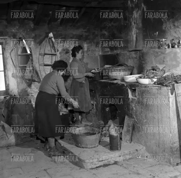 Contadini al lavoro sull'Appennino Tosco - Emiliano, 1959 - Farabola Immagine digitale