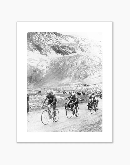 Coppi, Bartali e Robic, Tour de France 1949 - Farabola Fotografia