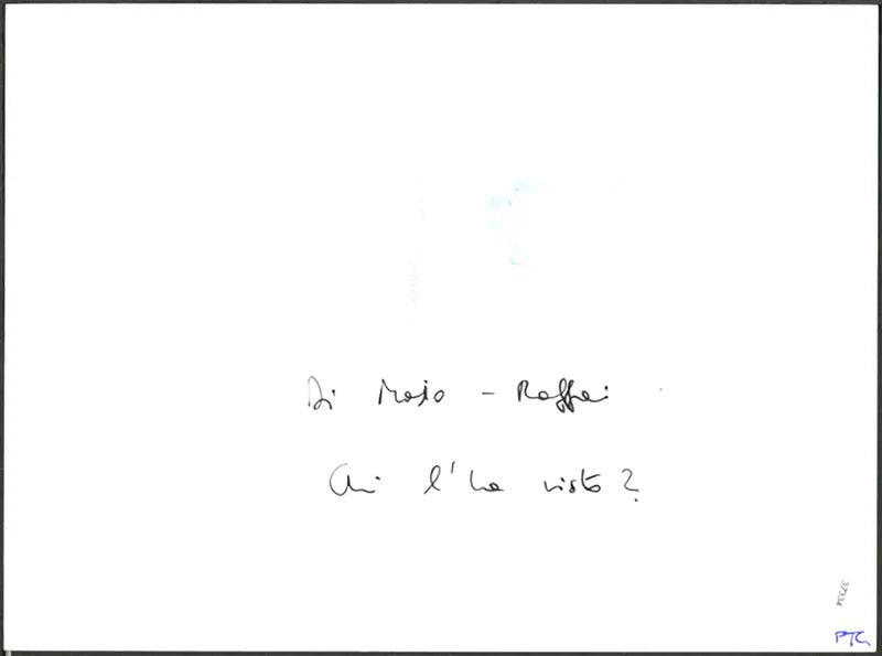 Di Majo e Raffai Chi l'ha visto? Ft 37334 - Stampa 24x18 cm - Farabola Stampa ai sali d'argento