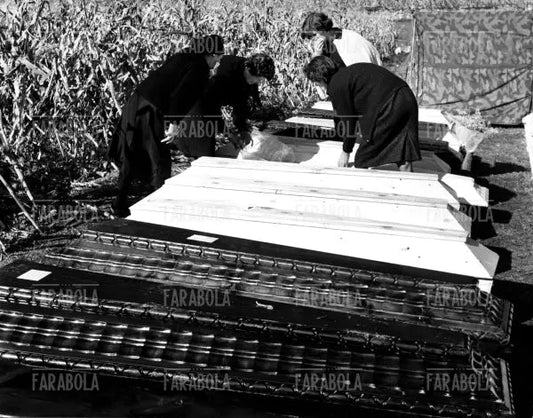 Disastro del Vajont, al nuovo cimitero di Fortona, 1963 - Farabola Immagine digitale