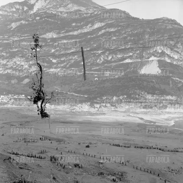 Disastro del Vajont, veduta della valle colpita dalla frana, 1963 - Farabola Immagine digitale