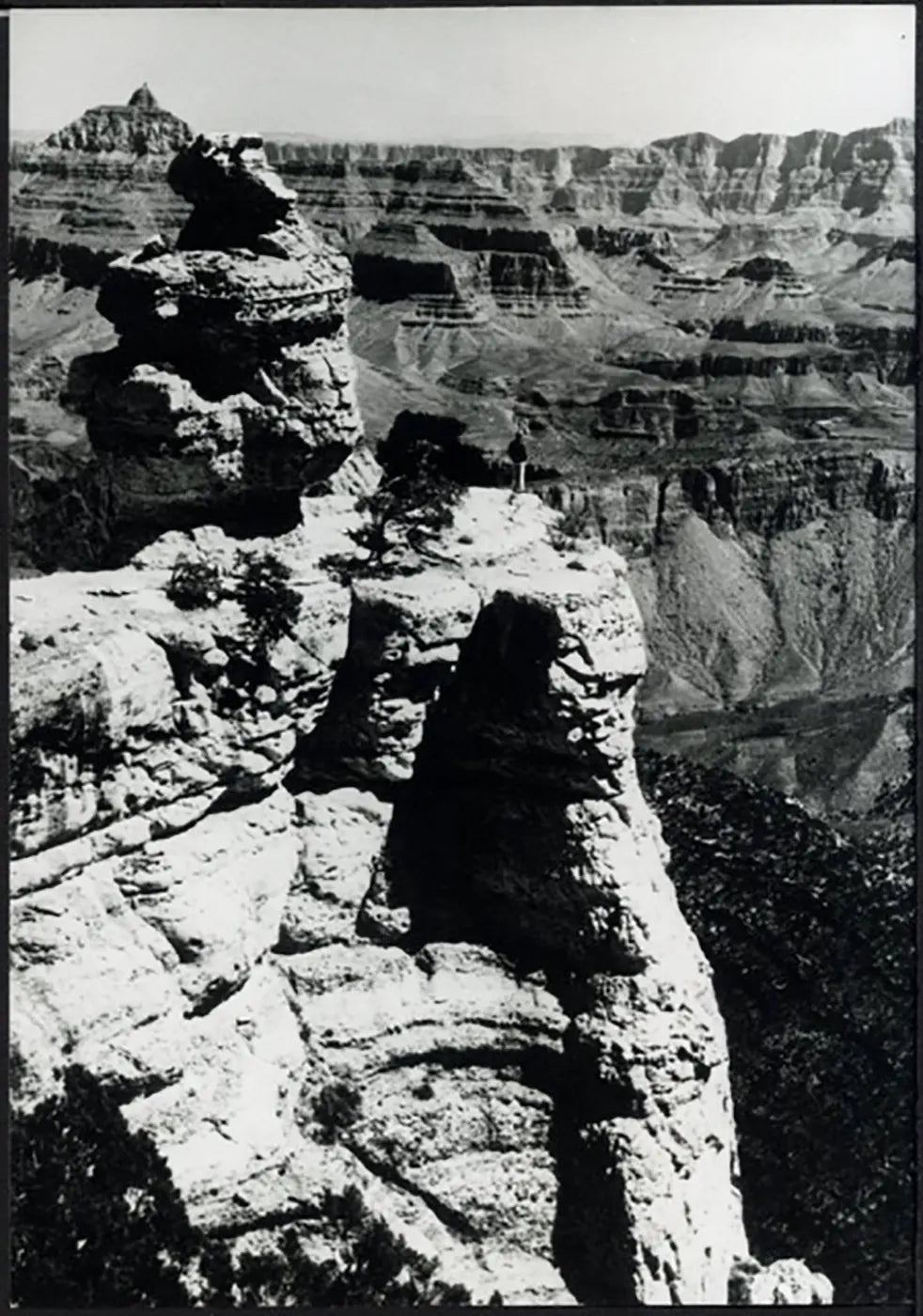 Duck - on - the - rock nel Grand Canyon anni 80 Ft 37950 - Stampa 24x18 cm - Farabola Stampa ai sali d'argento