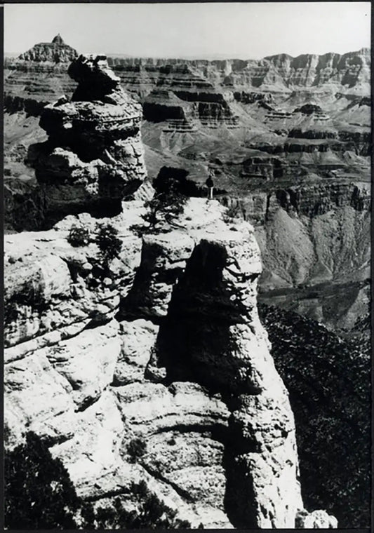 Duck - on - the - rock nel Grand Canyon anni 80 Ft 37950 - Stampa 24x18 cm - Farabola Stampa ai sali d'argento