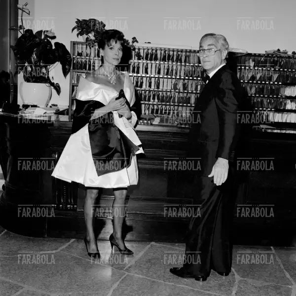 Elsa Martinelli e Gugliemo Biraghi, Festival di Venezia, 1990 - Farabola Immagine digitale