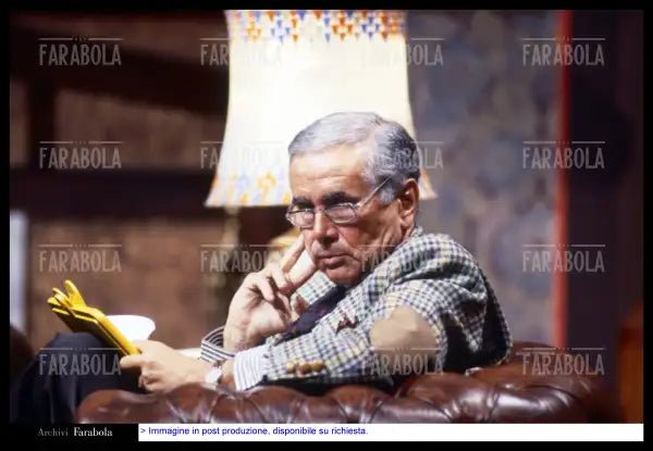 Enzo Tortora, Giallo, 1987 - Farabola Immagine digitale