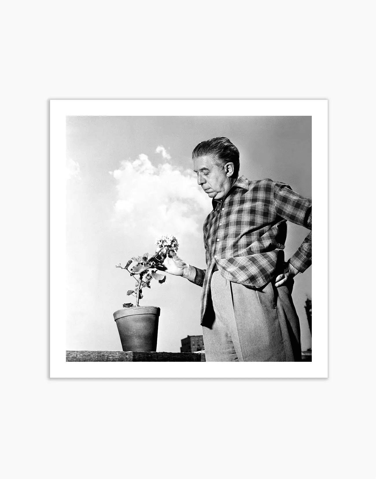 Eugenio Montale, 1956 - Farabola WhiteWall App Product