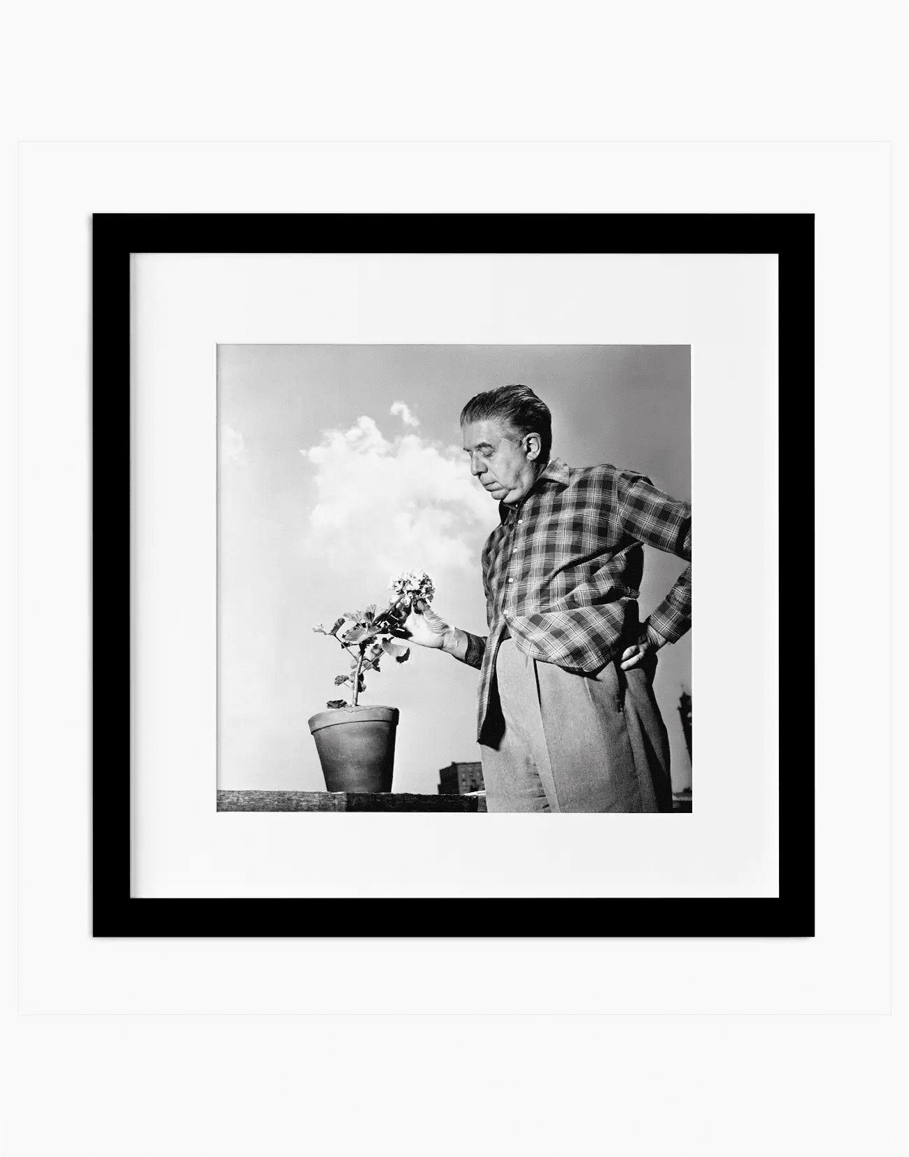 Eugenio Montale, 1956 - Farabola WhiteWall App Product