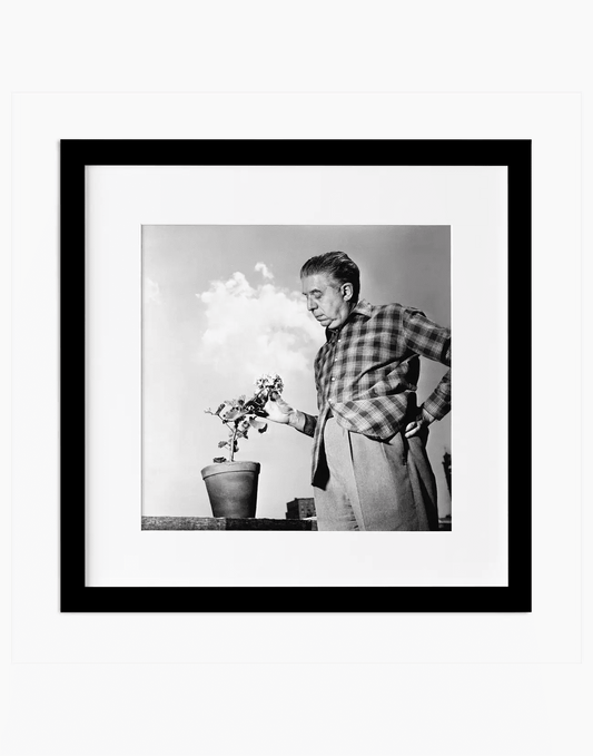 Eugenio Montale, 1956 - Farabola WhiteWall App Product
