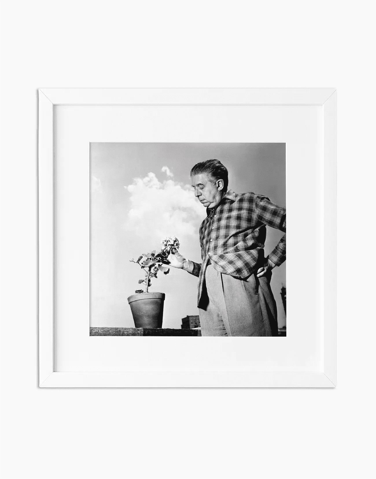 Eugenio Montale, 1956 - Farabola WhiteWall App Product