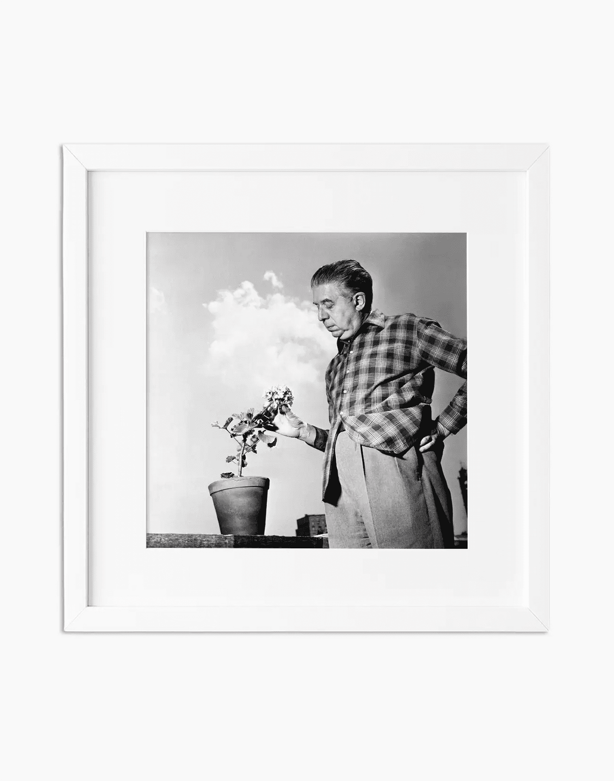 Eugenio Montale, 1956 — stampa fine art con cornice bianca