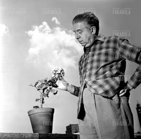 Eugenio Montale nel suo studio, 1956 - Farabola Immagine digitale