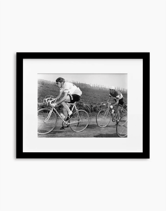 Fausto Coppi e Gino Bartali, Giro del Piemonte 1953 - Farabola WhiteWall App Product