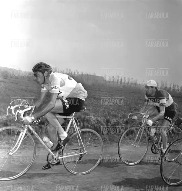 Fausto Coppi seguito da Gino Bartali, Giro del Piemonte, 1953 - Farabola Immagine digitale