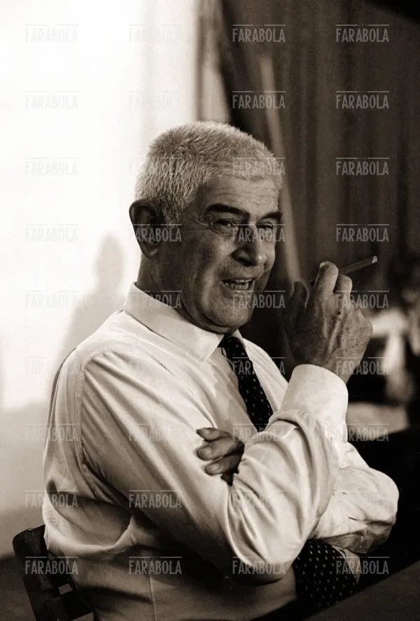 Felice Ippolito alla Festa de l'Unità, Milano, 1974 - Farabola Immagine digitale