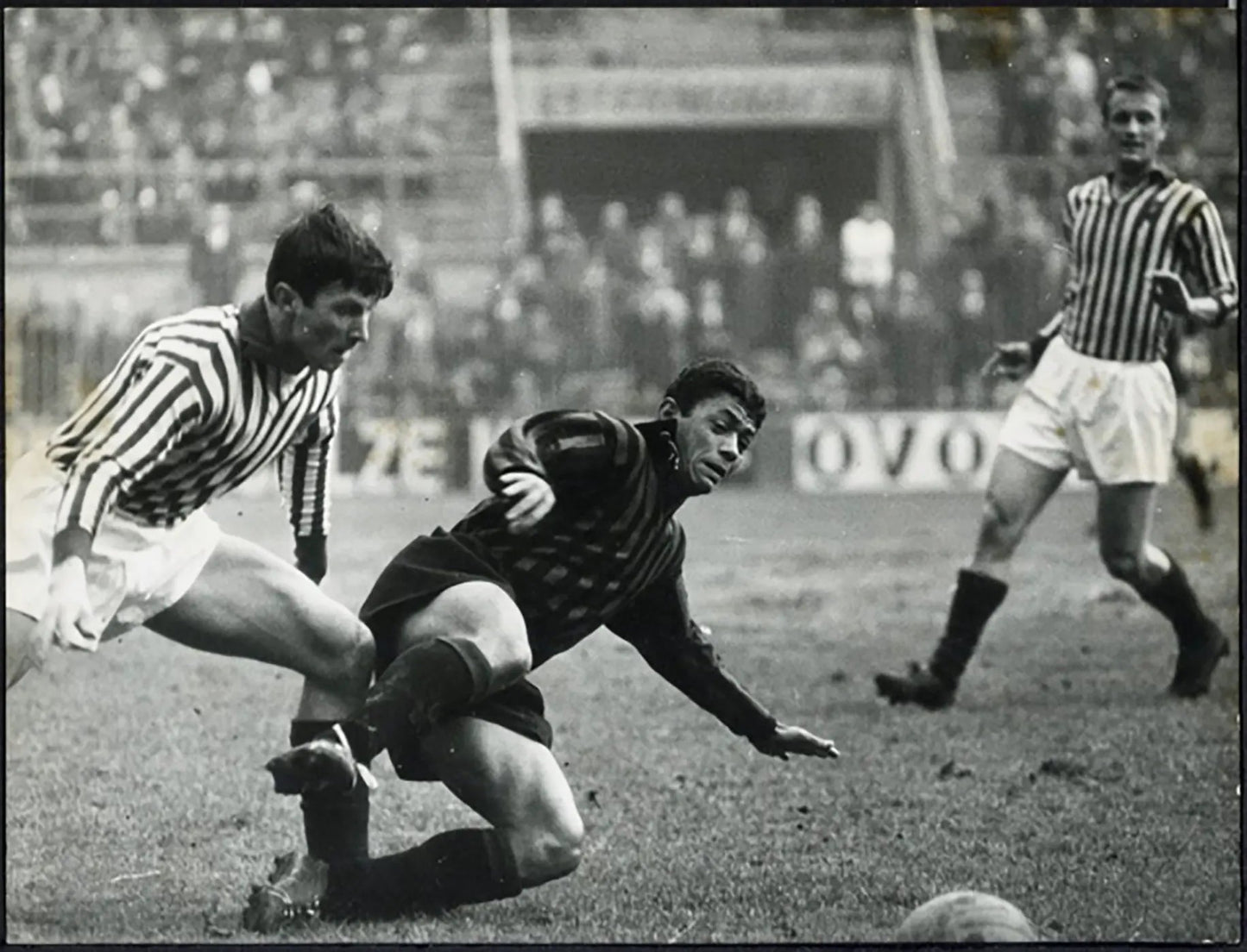 Fiorentina Amarildo in azione anni 60 Ft 5414 - Stampa 20x15 cm - Farabola Stampa ai sali d'argento