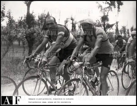 Fiorenzo Magni e Gino Bartali, Giro d'Italia, 1951 - Farabola Immagine digitale