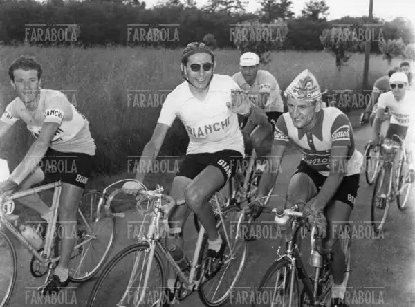 Franco Giacchero, Fausto Coppi e Giovanni Pettinati, Giro d'Italia, 1952 - Farabola Immagine digitale